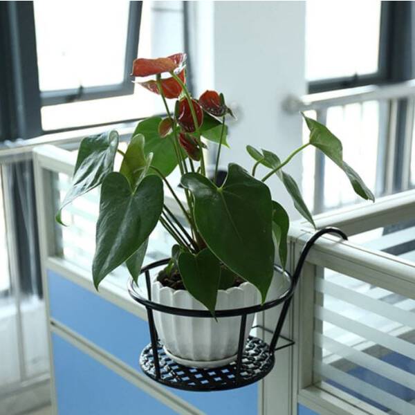 ที่แขวนกระถางต้นไม้สีดำ