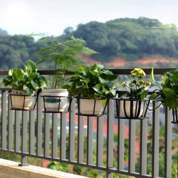 ที่แขวนกระถางต้นไม้สีดำ