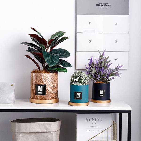 ขาย กระถางต้นไม้ Creative Design Flower Pot IV ราคาพิเศษ