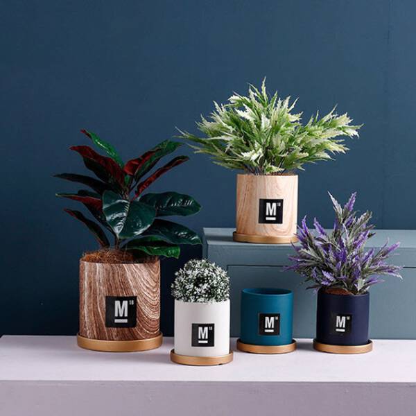 ขาย กระถางต้นไม้ Creative Design Flower Pot IV ราคาพิเศษ