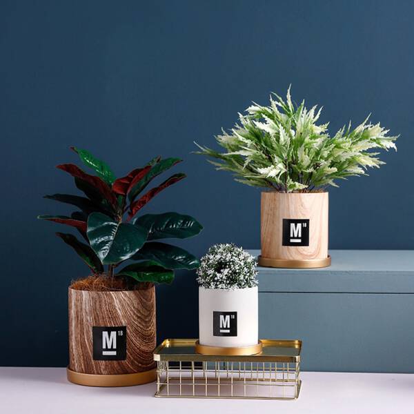 ขาย กระถางต้นไม้ Creative Design Flower Pot IV ราคา