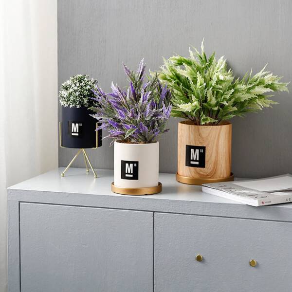 ขาย กระถางต้นไม้ Creative Design Flower Pot IV พิเศษ