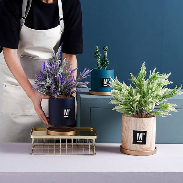 ขาย กระถางต้นไม้ Creative Design Flower Pot IV