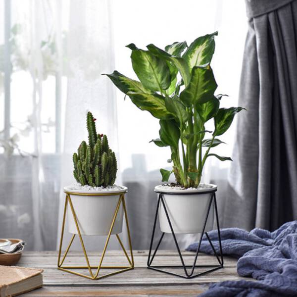 ขาย ชุดกระถางต้นไม้มงคลทรงสามเหลี่ยม Triangle Stand Flower Pot ลด ราคา พิเศษ