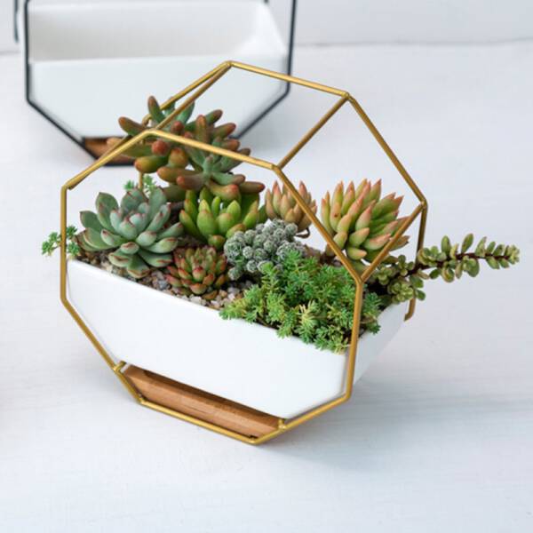 ขาย กระถางต้นไม้ตกแต่งบ้าน Octagon Hanger Flower Pot ลดพิเศษ