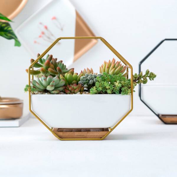 ขาย กระถางต้นไม้ตกแต่งบ้าน Octagon Hanger Flower Pot ราคา ลด