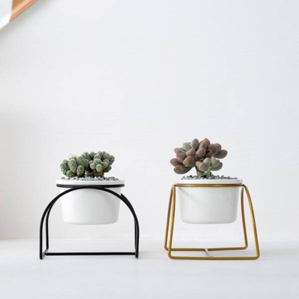 ขาย กระถางต้นไม้ตกแต่งบ้าน Semi Circle Flower Pot พิเศษ ราคา