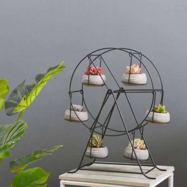 ขาย ชุดกระถางต้นไม้พร้อมชิงช้า Ferris Wheel Flower Pot II ราคา