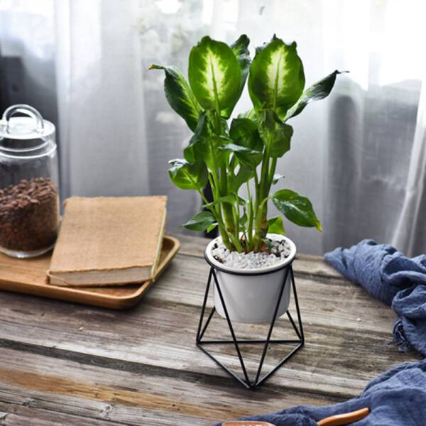 ขาย ชุดกระถางต้นไม้มงคลทรงสามเหลี่ยม Triangle Stand Flower Pot ลดราคา