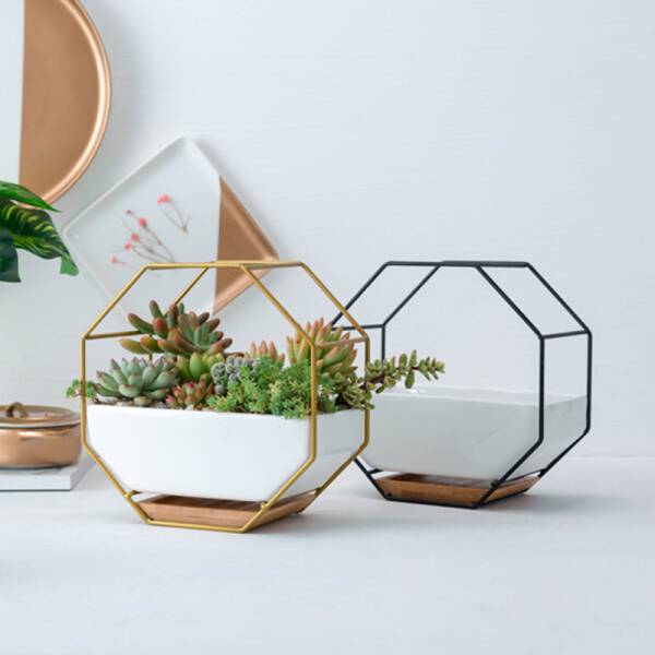 ขาย กระถางต้นไม้ตกแต่งบ้าน Octagon Hanger Flower Pot พิเศษ