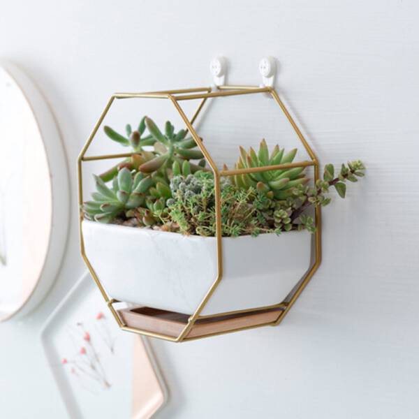 ขาย กระถางต้นไม้ตกแต่งบ้าน Octagon Hanger Flower Pot ราคา พิเศษ