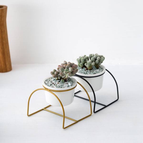 ขาย กระถางต้นไม้ตกแต่งบ้าน Semi Circle Flower Pot พิเศษ