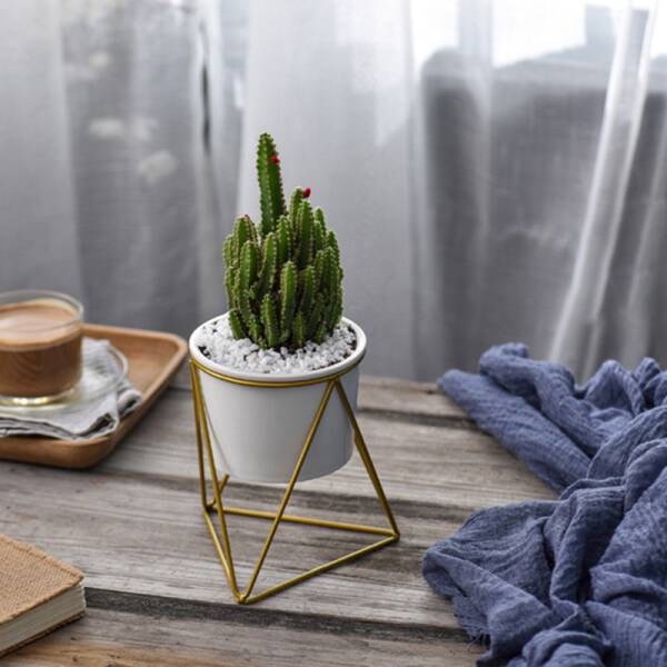 ขาย ชุดกระถางต้นไม้มงคลทรงสามเหลี่ยม Triangle Stand Flower Pot พิเศษ