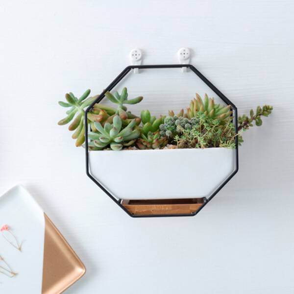 ขาย กระถางต้นไม้ตกแต่งบ้าน Octagon Hanger Flower Pot ราคาพิเศษ
