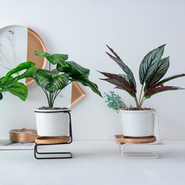 ขาย กระถางต้นไม้ตกแต่งบ้าน Chair Flower Pot ราคา