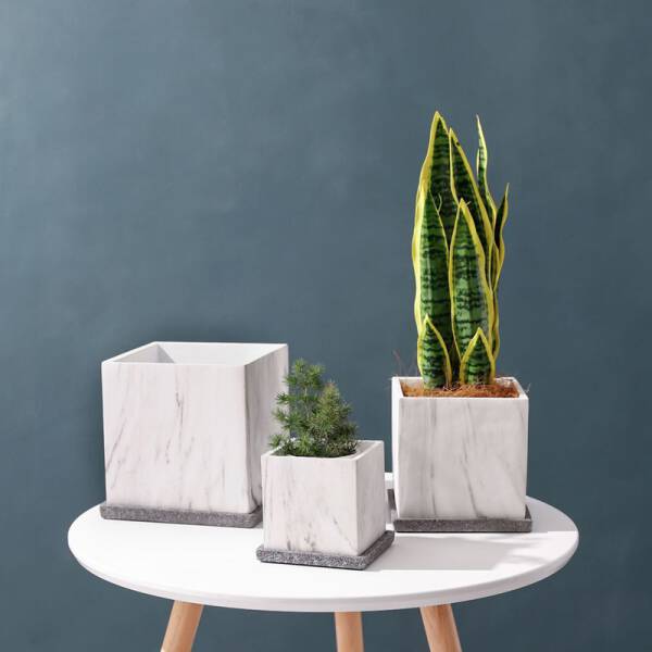 ขาย กระถางต้นไม้ทรงสี่เหลี่ยม Square Flower Pot ลดพิเศษ