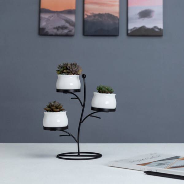 ขาย ชุดกระถางต้นไม้มงคล Tree Flower Pot ลดพิเศษ