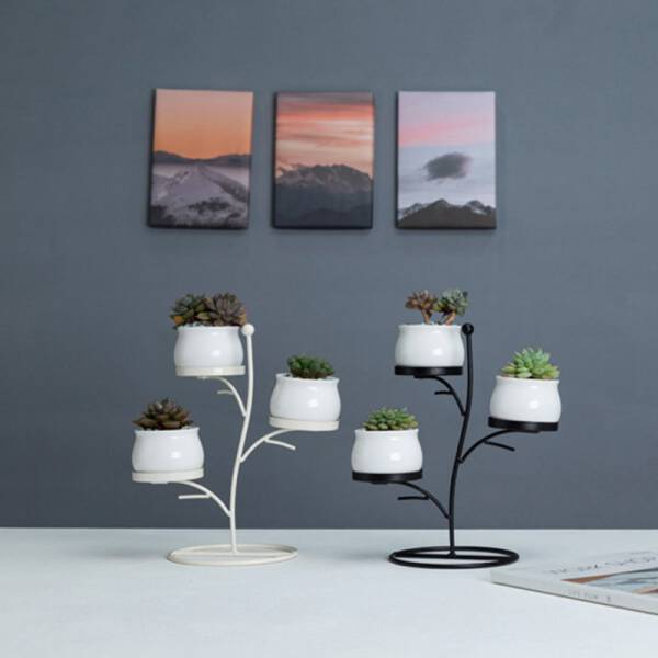 ขาย ชุดกระถางต้นไม้มงคล Tree Flower Pot ราคา