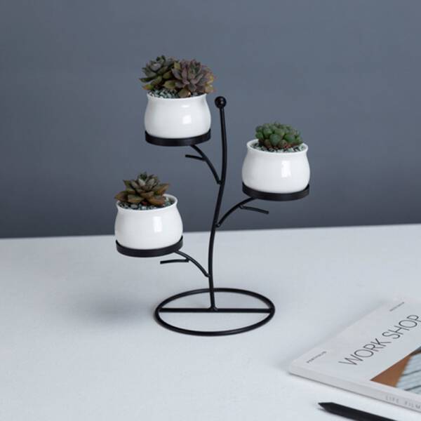 ขาย ชุดกระถางต้นไม้มงคล Tree Flower Pot