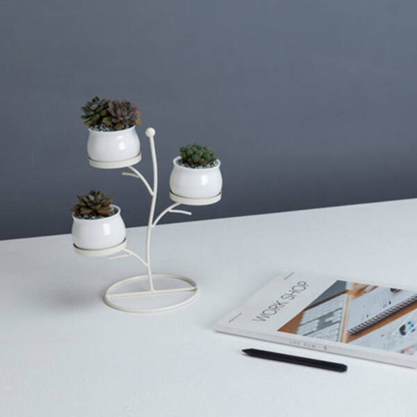 ขาย ชุดกระถางต้นไม้มงคล Tree Flower Pot พิเศษสุด