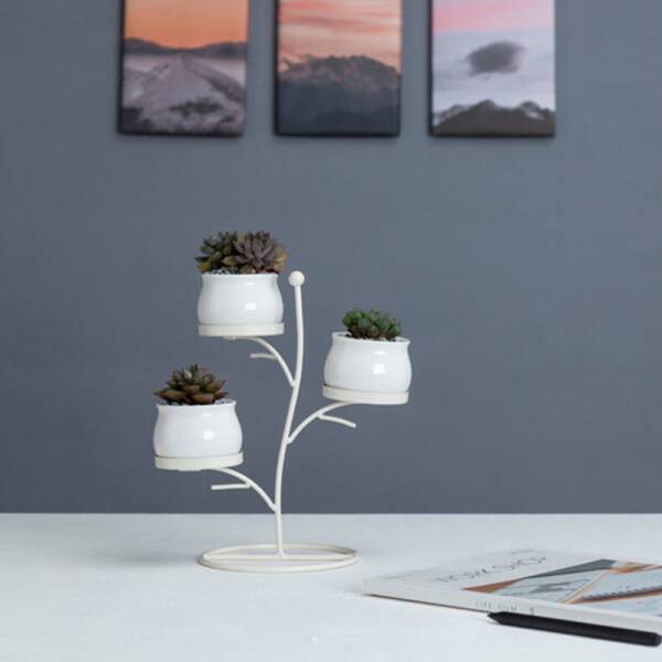 ขาย ชุดกระถางต้นไม้มงคล Tree Flower Pot พิเศษ