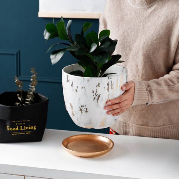 ขาย กระถางต้นไม้มงคลลายหินอ่อน Golden Marble Flower Pot พิเศษ