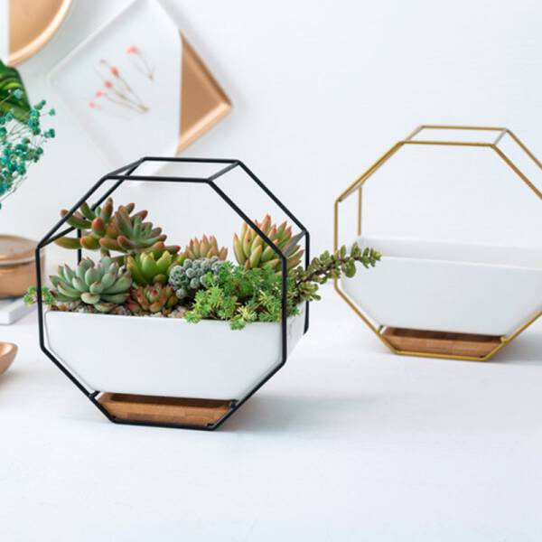 ขาย กระถางต้นไม้ตกแต่งบ้าน Octagon Hanger Flower Pot ราคา ลด