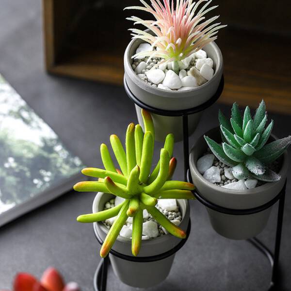 ขาย ชุดกระถางต้นไม้ Triple Flower Pot ราคาลด