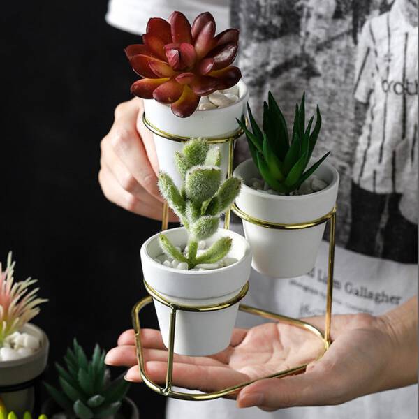 ขาย ชุดกระถางต้นไม้ Triple Flower Pot ราคาพิเศษ