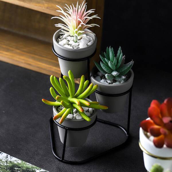 ขาย ชุดกระถางต้นไม้ Triple Flower Pot ราคา