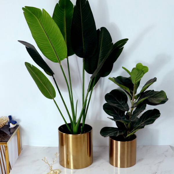 ขาย กระถางต้นไม้สไตล์ลัคชัวรี่ Golden Flower Pot III ราคา