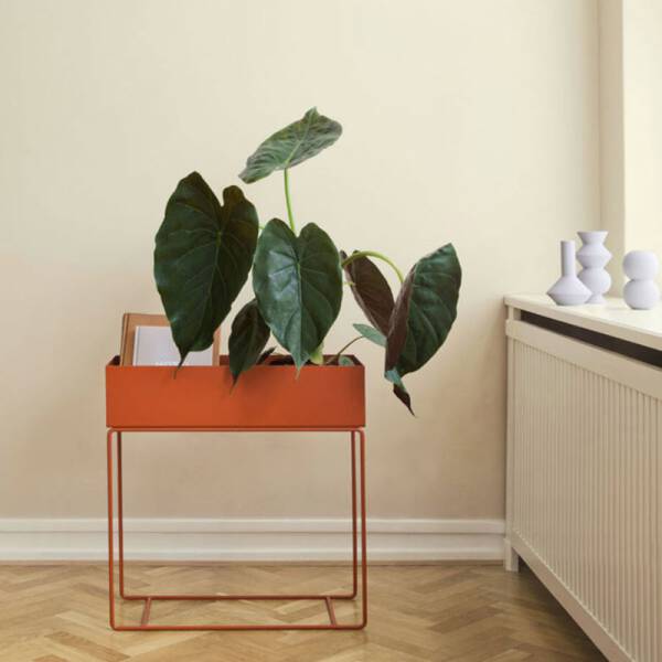 ขาย กระถางต้นไม้แต่งบ้าน Garden Flower Pot ลด