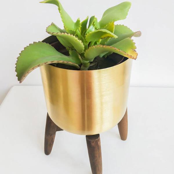 ขาย กระถางต้นไม้มงคล Golden Flower Pot ราคา