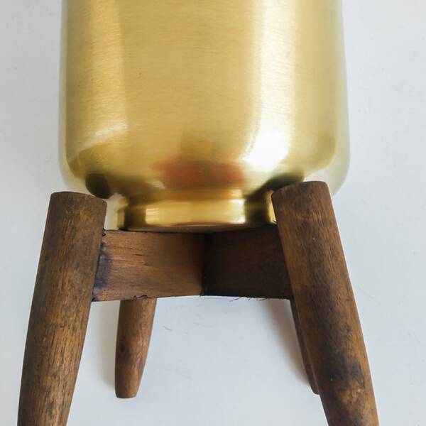 ขาย กระถางต้นไม้มงคล Golden Flower Pot