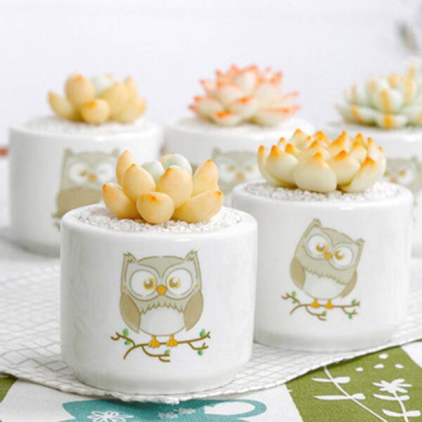 ขาย กระถางต้นไม้สำหรับแต่งบ้าน Owl Flower Pot ลด พิเศษ