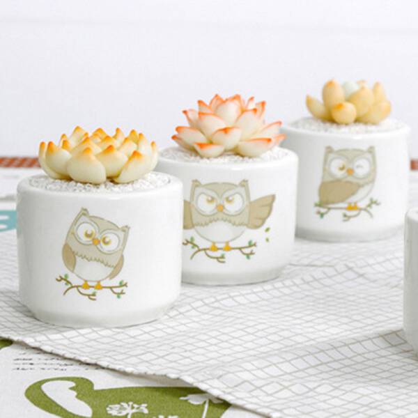 ขาย กระถางต้นไม้สำหรับแต่งบ้าน Owl Flower Pot ลด ราคา