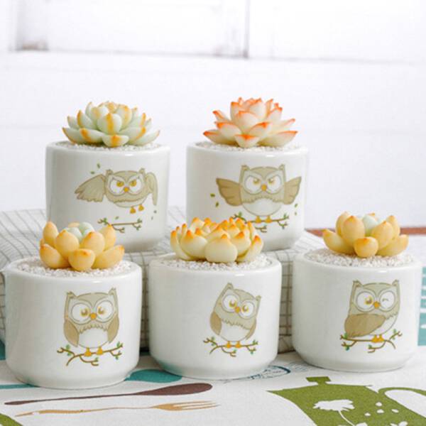 ขาย กระถางต้นไม้สำหรับแต่งบ้าน Owl Flower Pot ลดพิเศษ