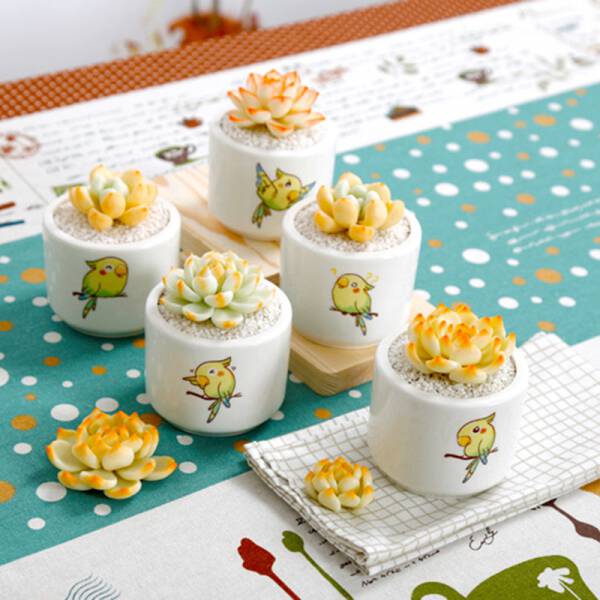 ขาย กระถางต้นไม้สำหรับแต่งบ้าน Parrot Flower Pot พิเศษ ราคา ลด