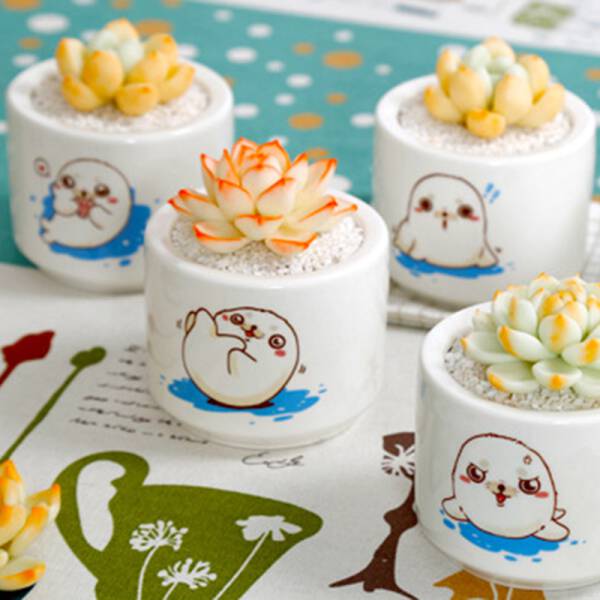 ขาย กระถางต้นไม้สำหรับแต่งบ้าน Seal Flower Pot พิเศษ ราคา