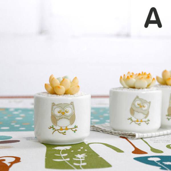 ขาย กระถางต้นไม้สำหรับแต่งบ้าน Owl Flower Pot ลด พิเศษ
