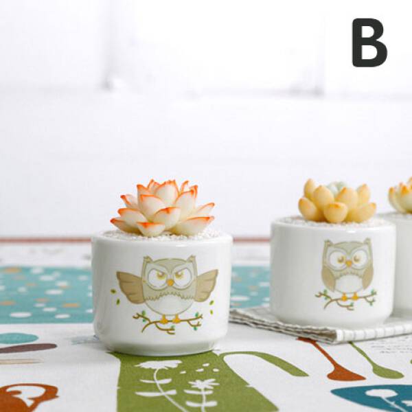 ขาย กระถางต้นไม้สำหรับแต่งบ้าน Owl Flower Pot พิเศษ