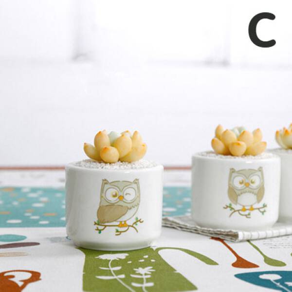 ขาย กระถางต้นไม้สำหรับแต่งบ้าน Owl Flower Pot ราคาพิเศษ