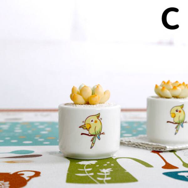 ขาย กระถางต้นไม้สำหรับแต่งบ้าน Parrot Flower Pot ราคาพิเศษ