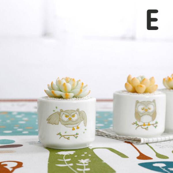 ขาย กระถางต้นไม้สำหรับแต่งบ้าน Owl Flower Pot ราคา