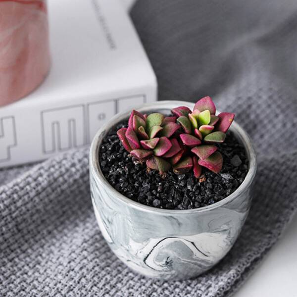 ขาย กระถางต้นไม้มงคลลายหินอ่อน Marble Flower Pot II พิเศษ
