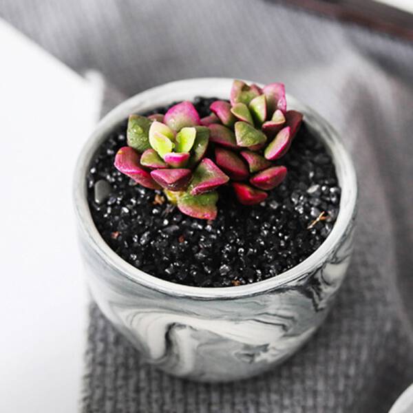 ขาย กระถางต้นไม้มงคลลายหินอ่อน Marble Flower Pot II ราคา ลด