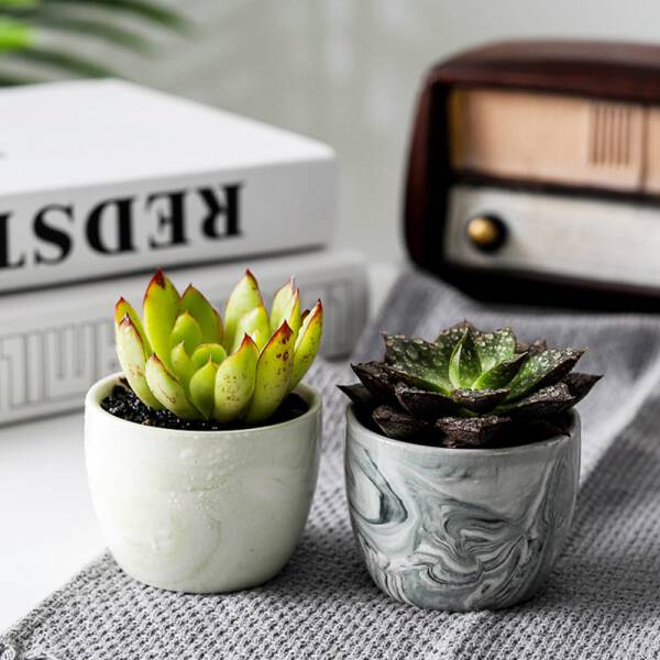 ขาย กระถางต้นไม้มงคลลายหินอ่อน Marble Flower Pot II ลดราคา