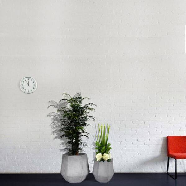 ขาย กระถางต้นไม้สำหรับตกแต่งบ้าน Concrete Flower Pot II