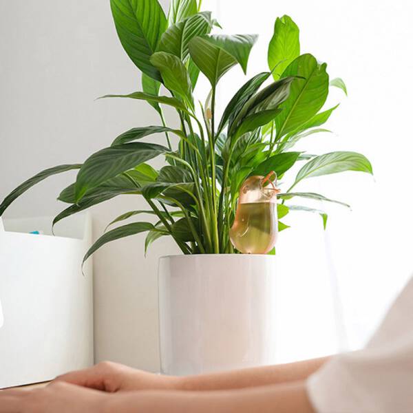 ขาย นกน้อยคอยรดน้ำ Aqua Bird II