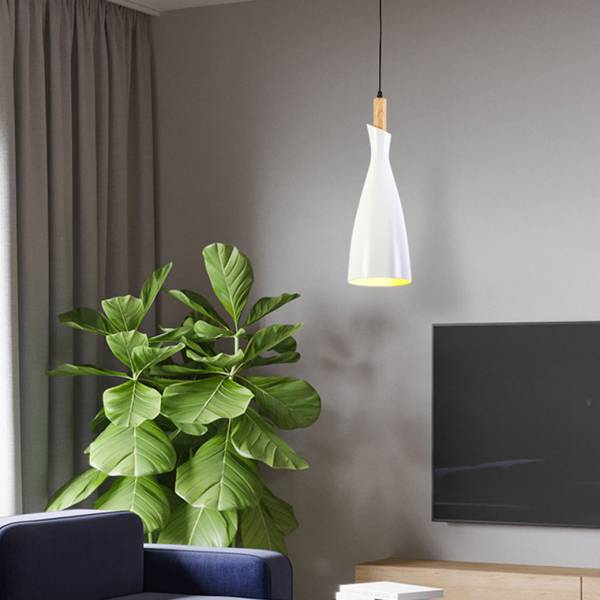 ขาย โคมไฟติดเพดานสำหรับตกแต่งบ้าน Home Decor Ceiling Lamp II